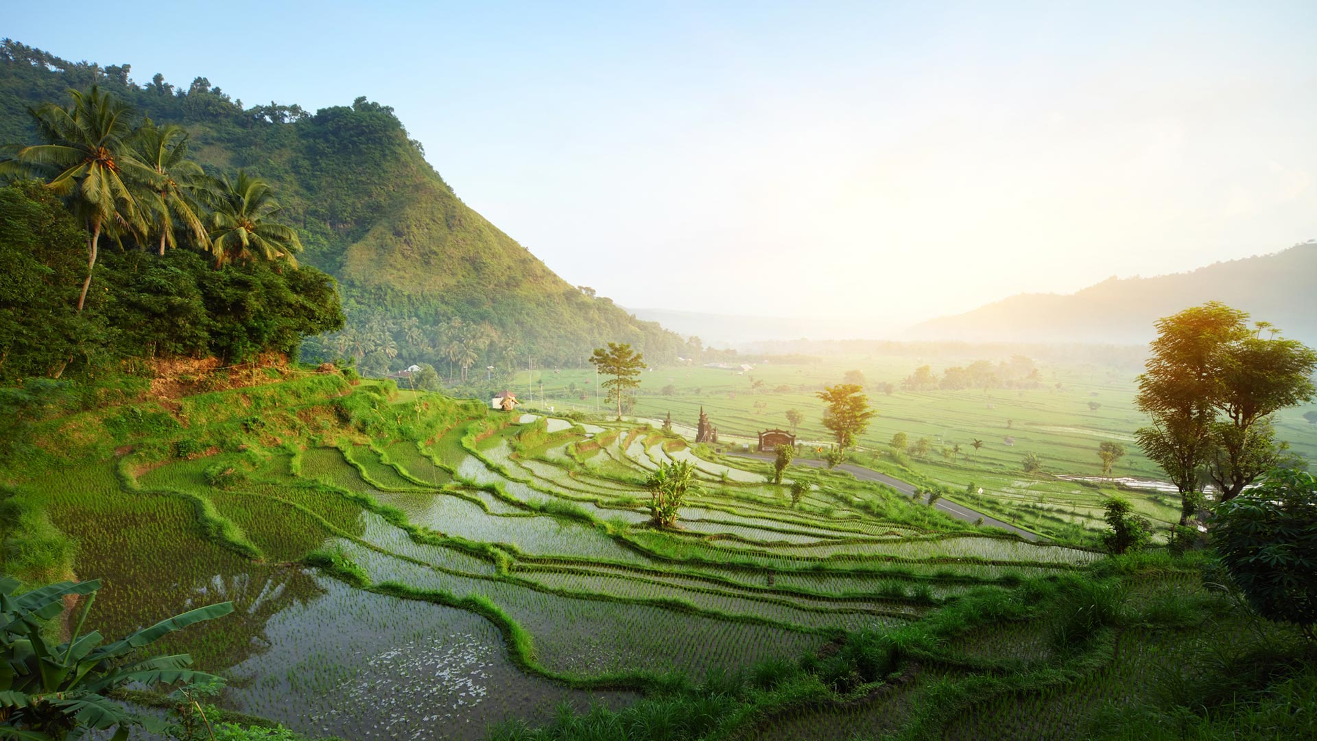 Tegalalang Rice Terraces