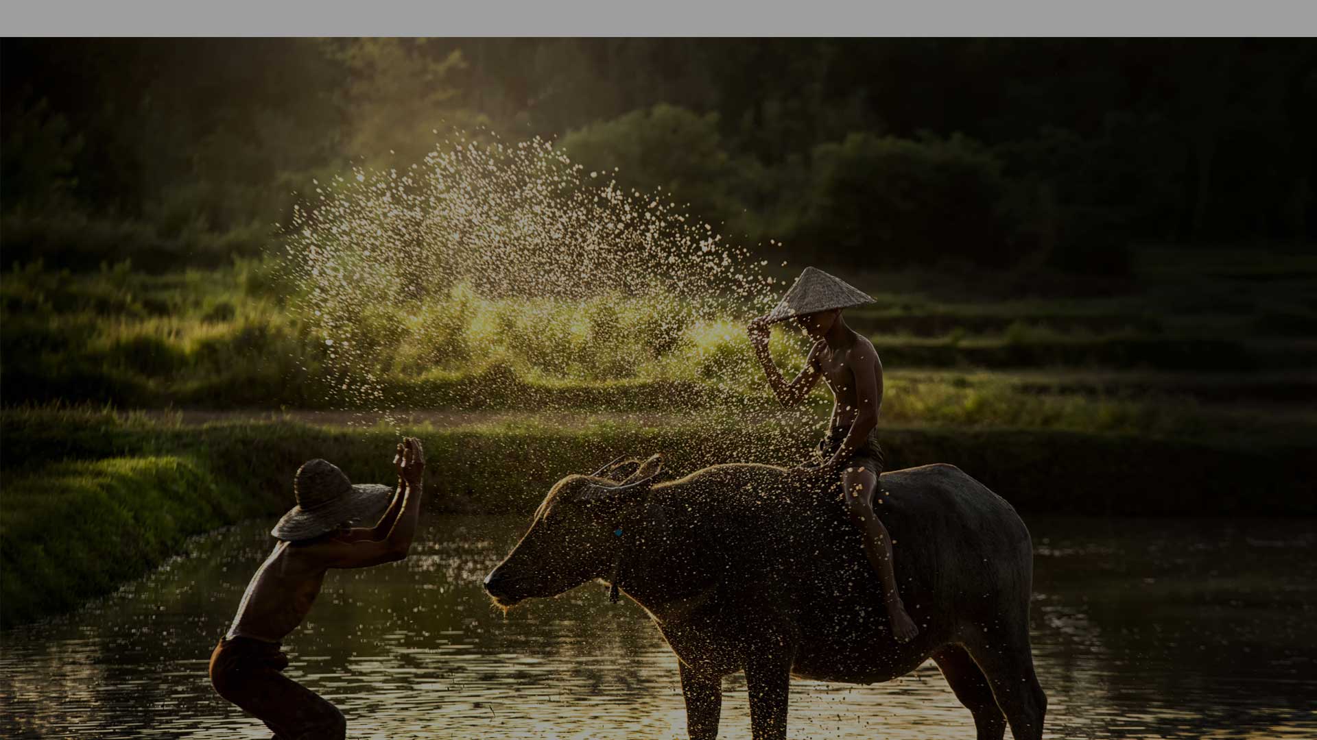 Vietnam_back Vietnam_back