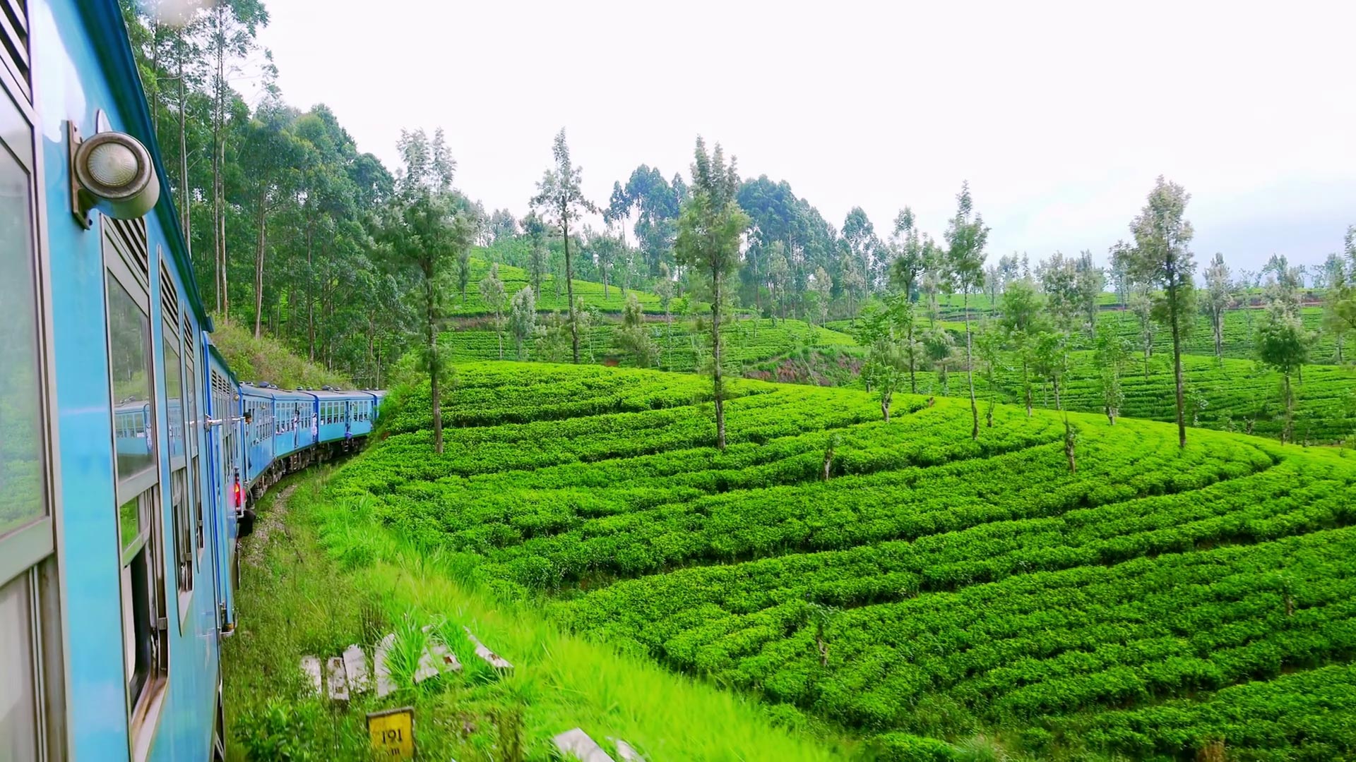 Sri_Lanka_Tea Sri_Lanka_Tea