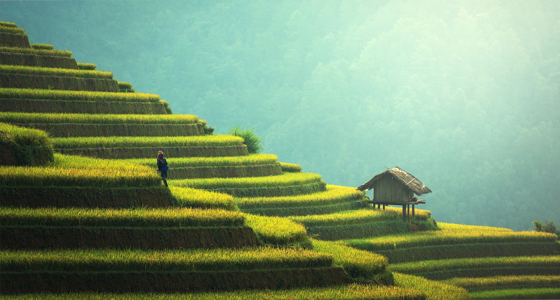 Bali 1 Bali 1