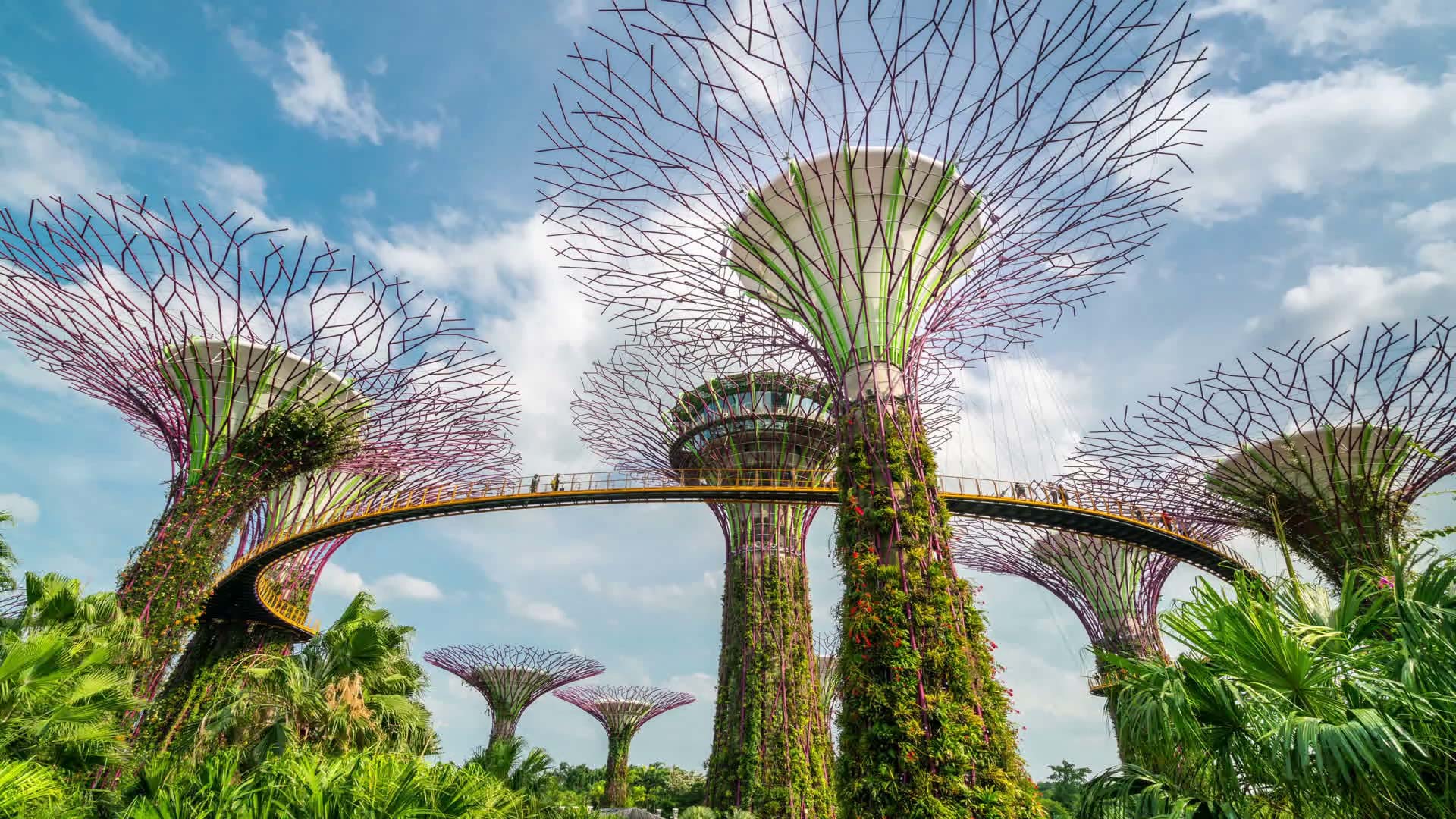 SINGAPORE_3 SINGAPORE_3