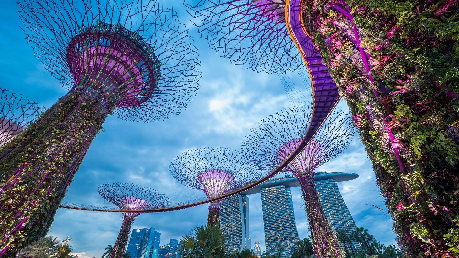 SINGAPORE_6_feat SINGAPORE_6_feat