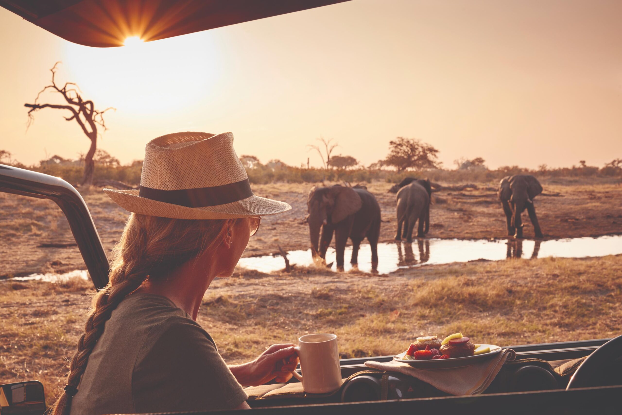 Belmond Elephants on Safari BSE-LEI-ACT-06 Belmond Elephants on Safari BSE-LEI-ACT-06