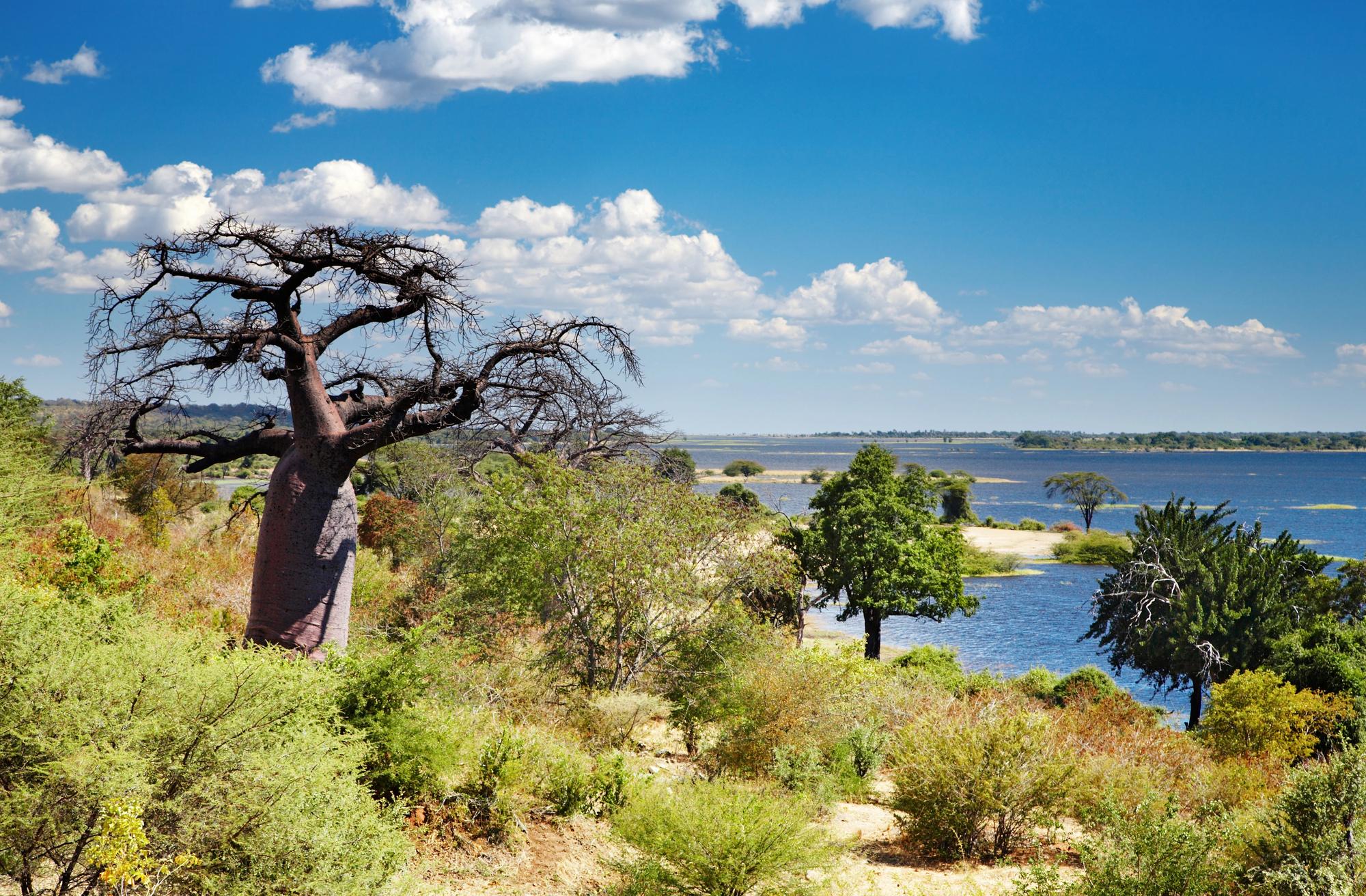 Depositphotos_1621882_L (1) RESIZE BOTWANA Depositphotos_1621882_L (1) RESIZE BOTWANA