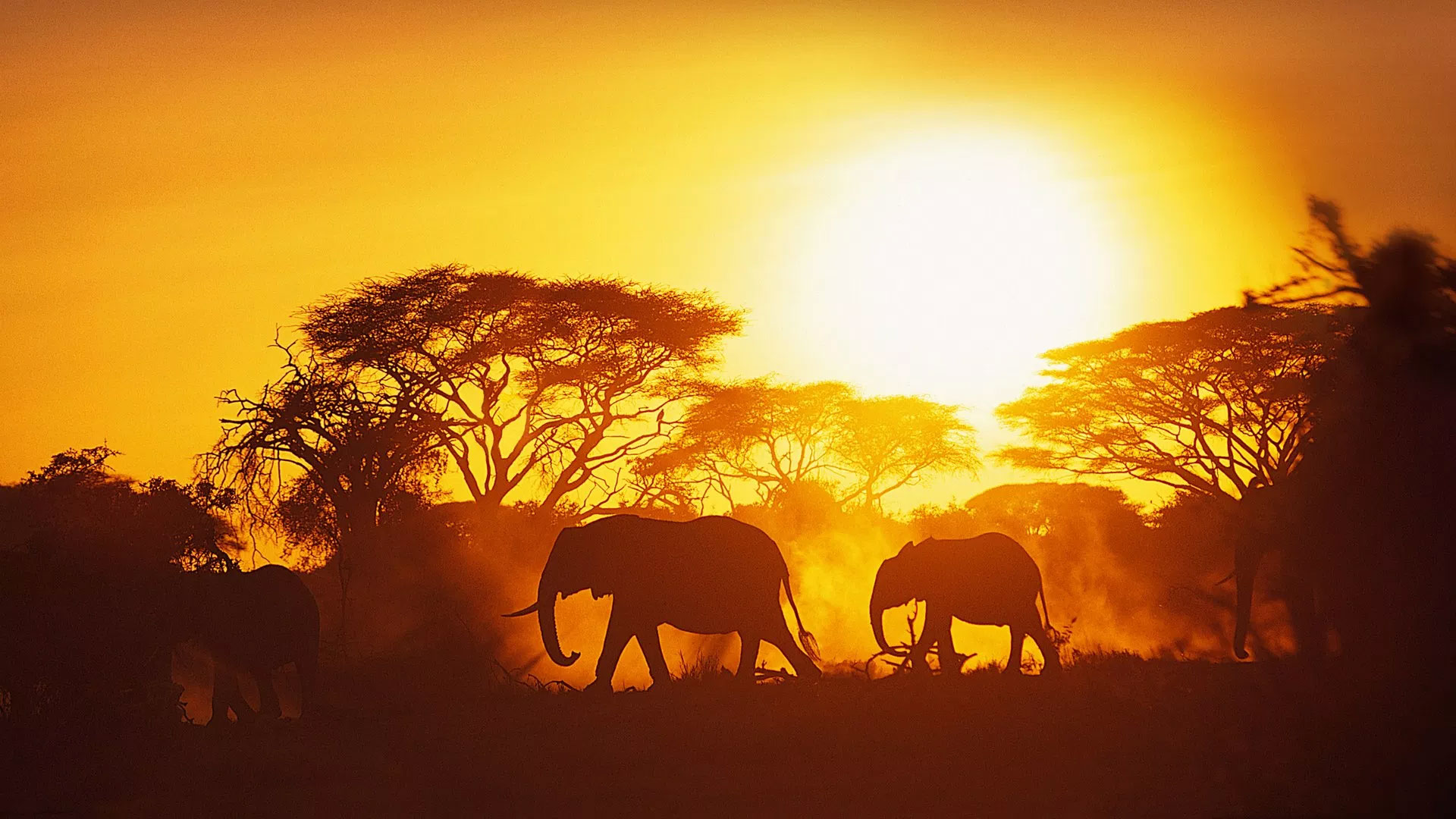 Kenya Kenya
