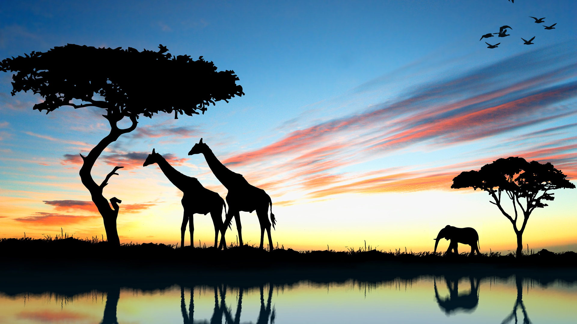 Kenya3 Kenya3