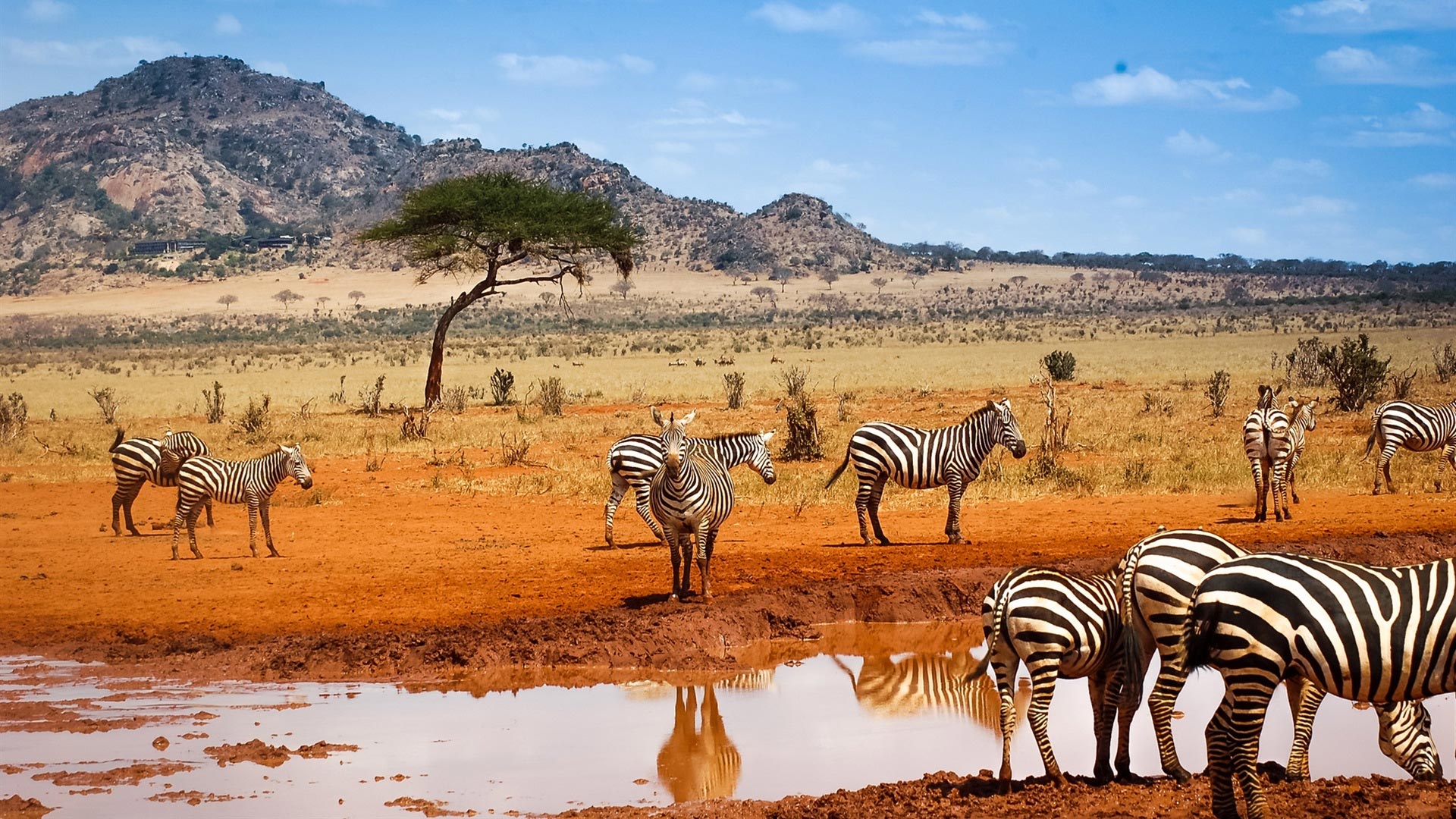 Kenya4 Kenya4