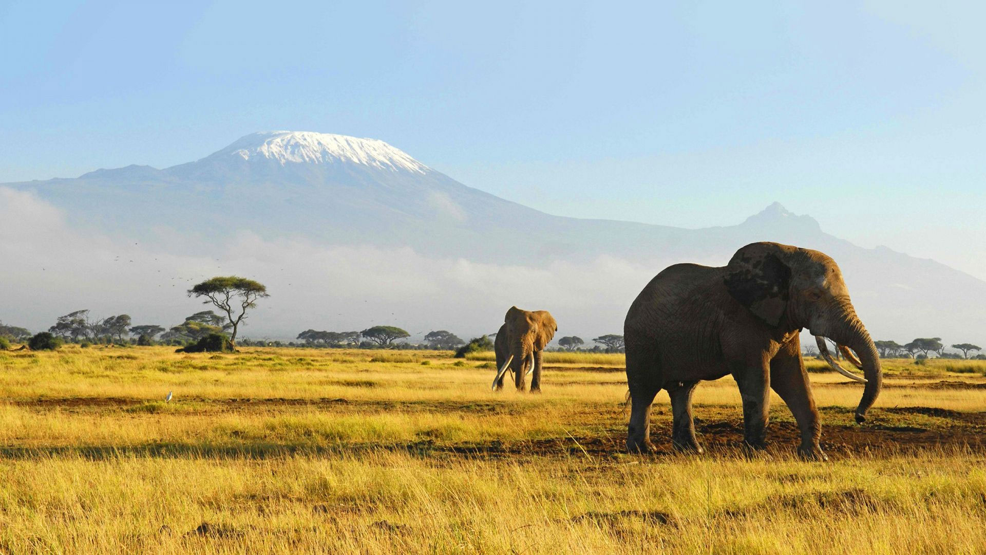 Kenya5 Kenya5