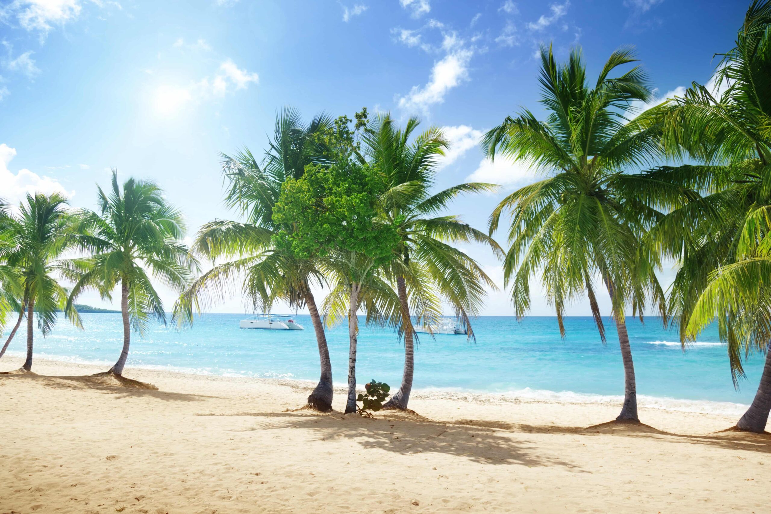CARRIBEAN CARRIBEAN