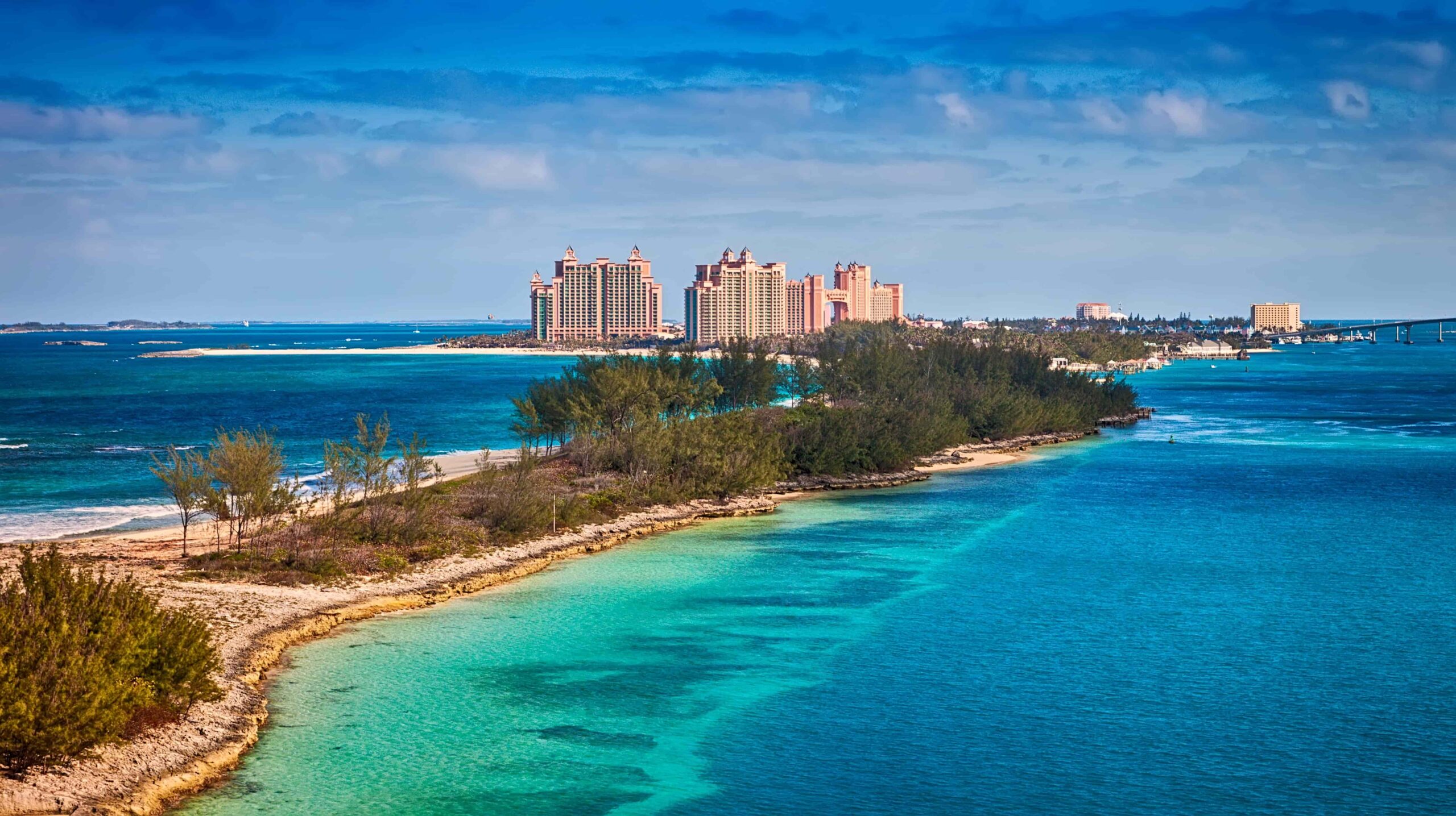 MIAMI MIAMI