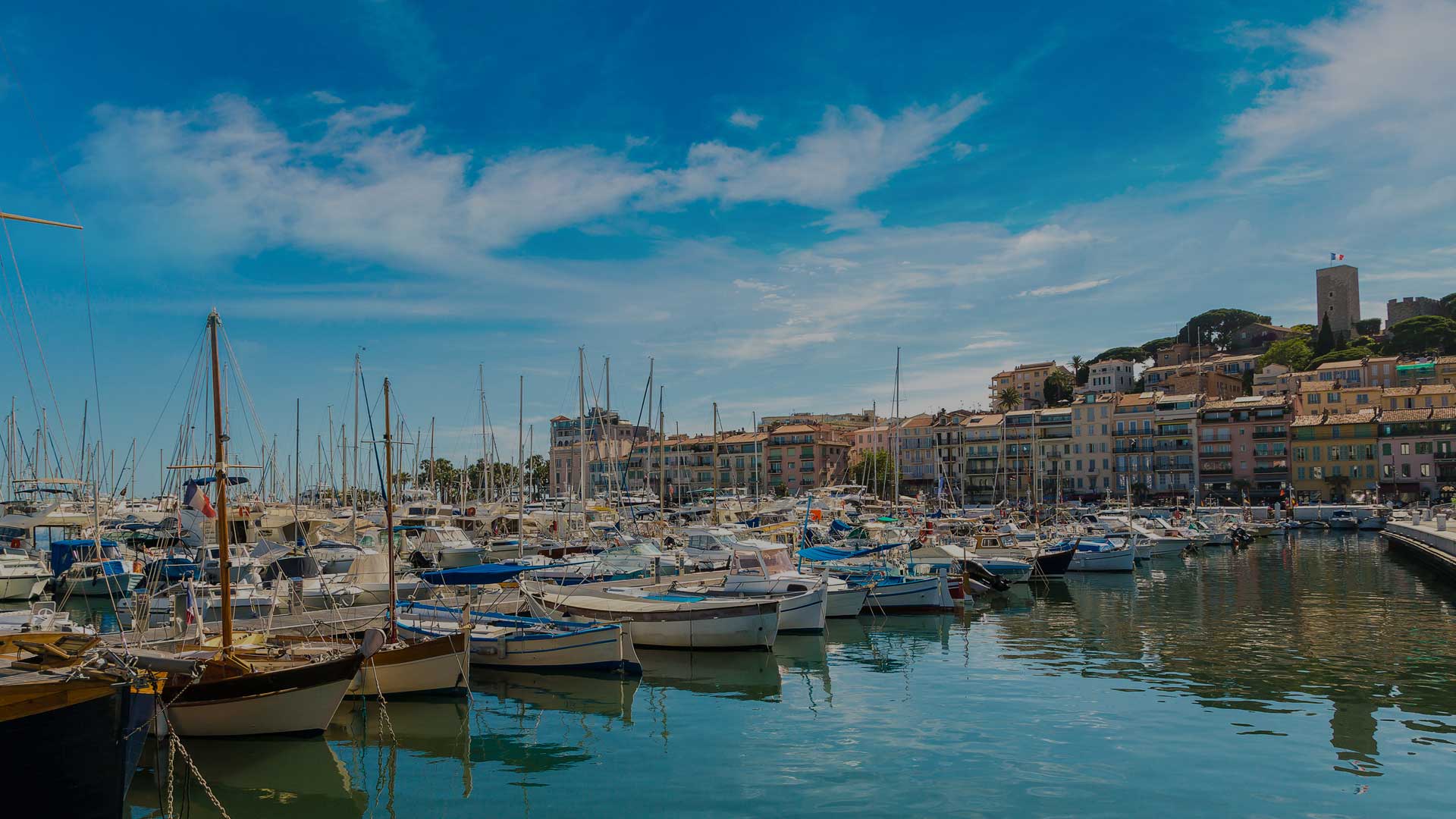 Cannes_Back Cannes_Back