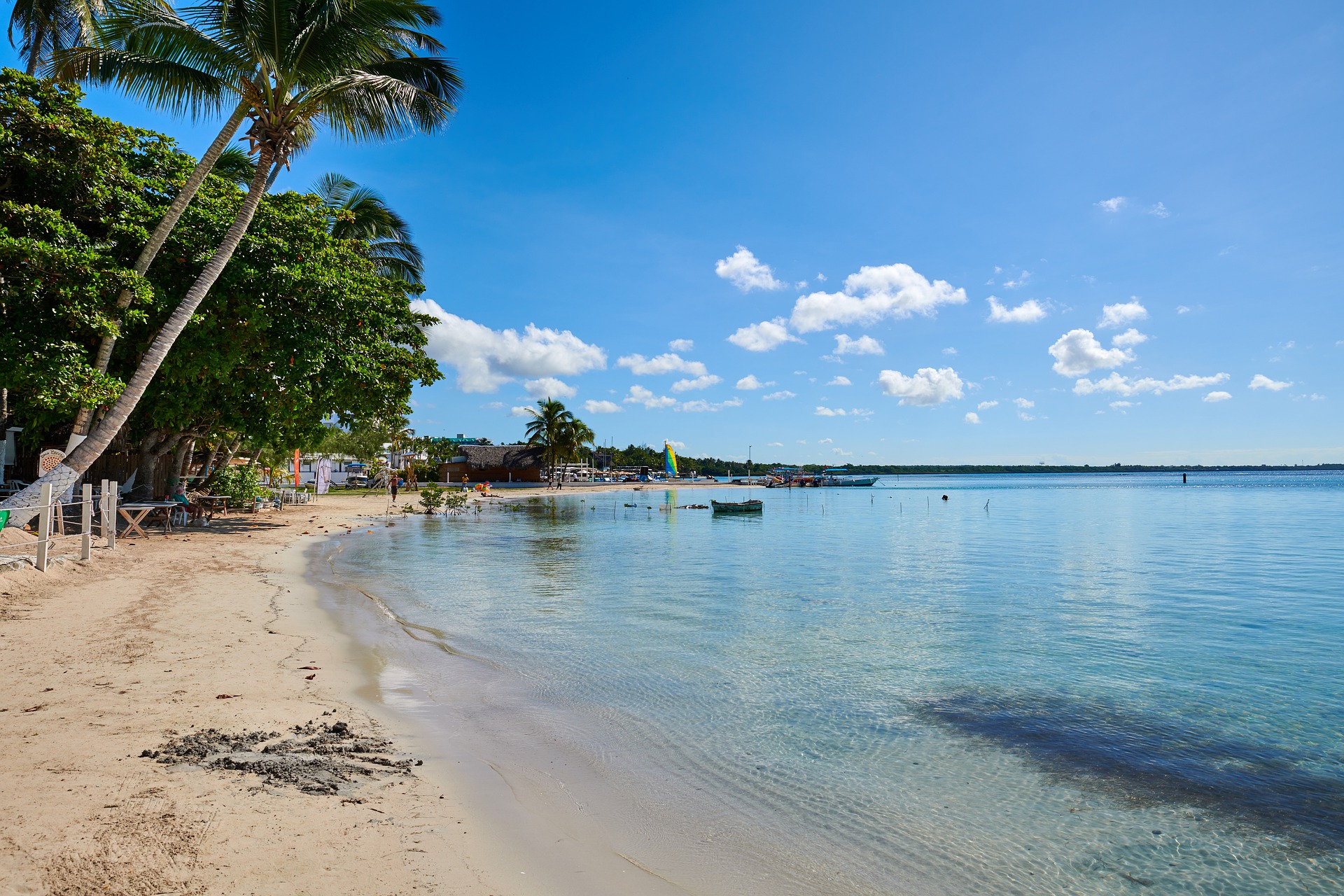 tropical-4759249_1920 tropical-4759249_1920