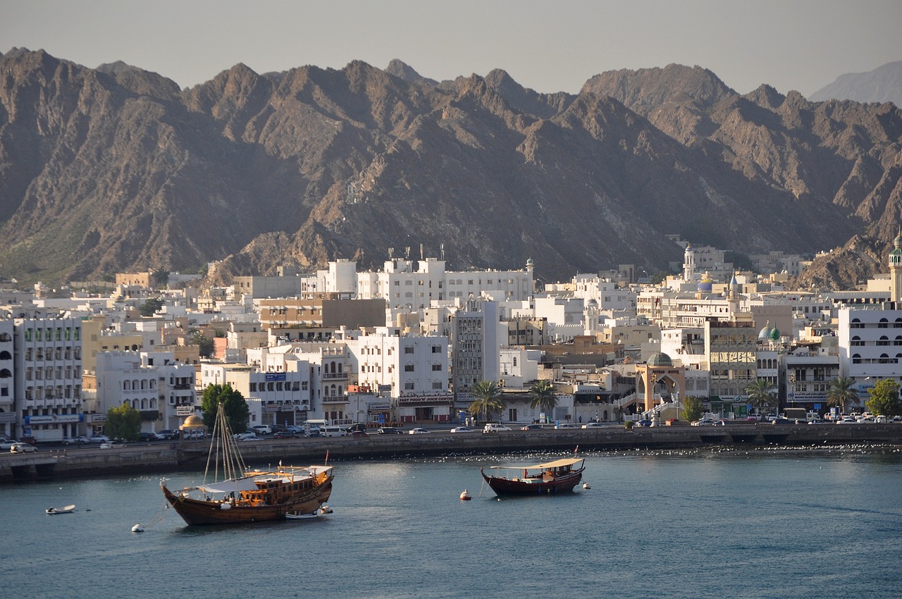 muscat-g5954a85d9_1280 muscat-g5954a85d9_1280