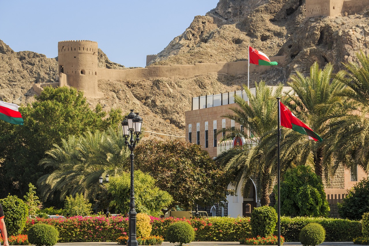 muscat-gc90e0d031_1280 muscat-gc90e0d031_1280